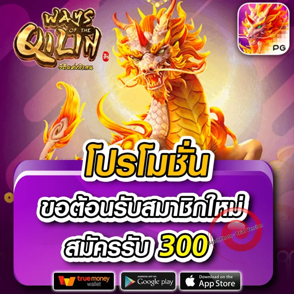 mung kong bonus